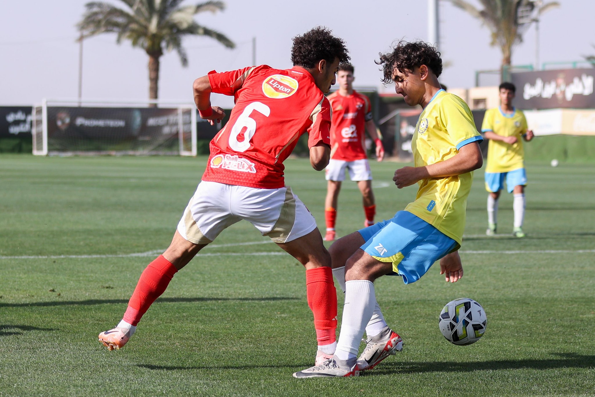 «أهلي 2008» يخسر أمام المقاولون العرب في بطولة الجمهورية